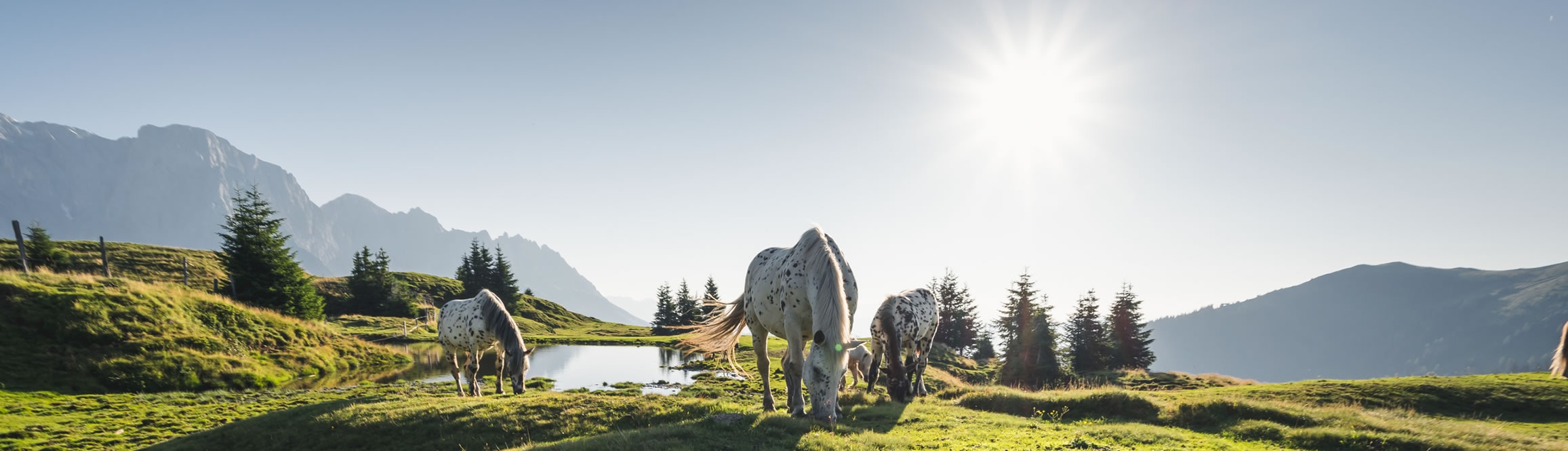 Aktuelles Wetter und Wetterbericht für Ihren Sommerurlaub im Hotel Alpenrose in Mühlbach © Hochkönig Tourismus GmbH