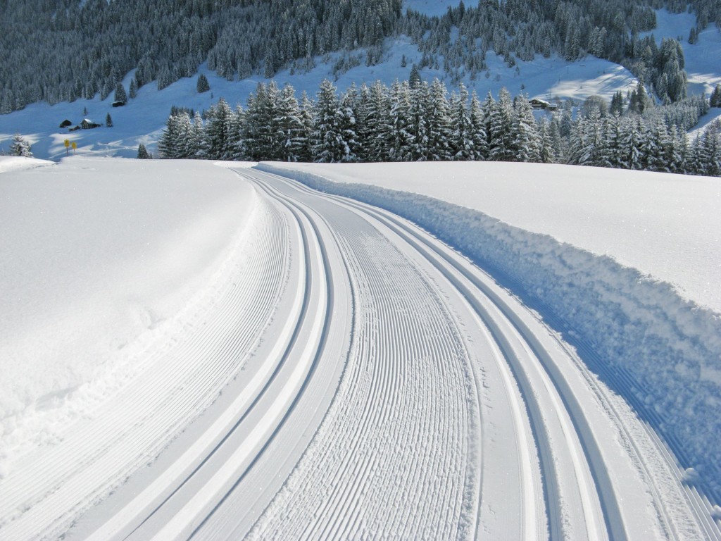 Bestens präparierte Langlaufloipen © Shutterstock